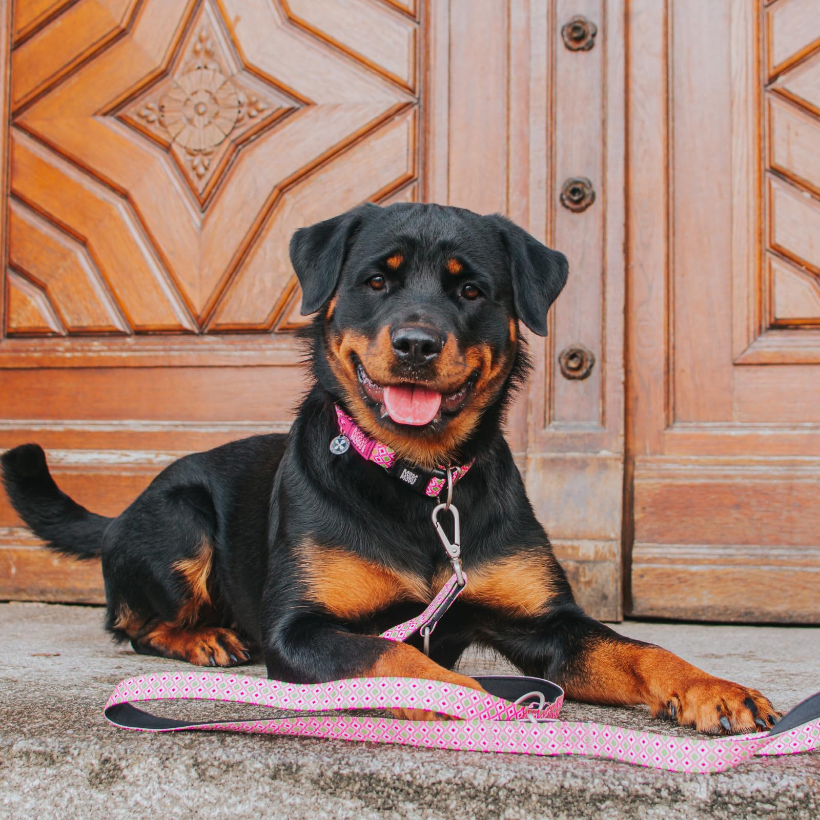 MAX & Molly Correa multifunción para Perros, 2 m, con 2 mosquetones, Correa para el Cuello Retro Rosa/L, Acolchada, Segura y Flexible, Comodidad para tu Fiel compañero
