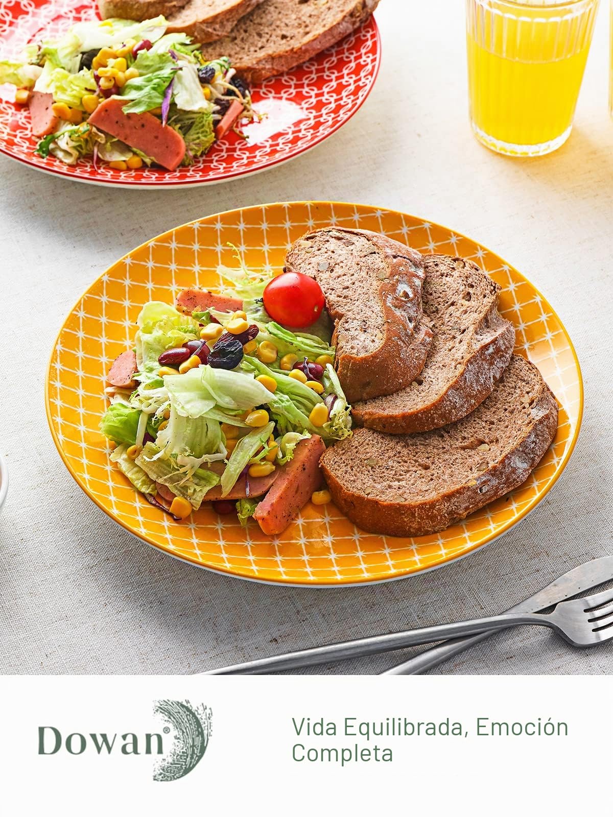 DOWAN Platos de cerámica de 10 pulgadas, juego de platos de ensalada de pasta de porcelana, platos de servir para Acción de Gracias y Navidad, juego de 6, duraderos y grandes, colores vibrantes
