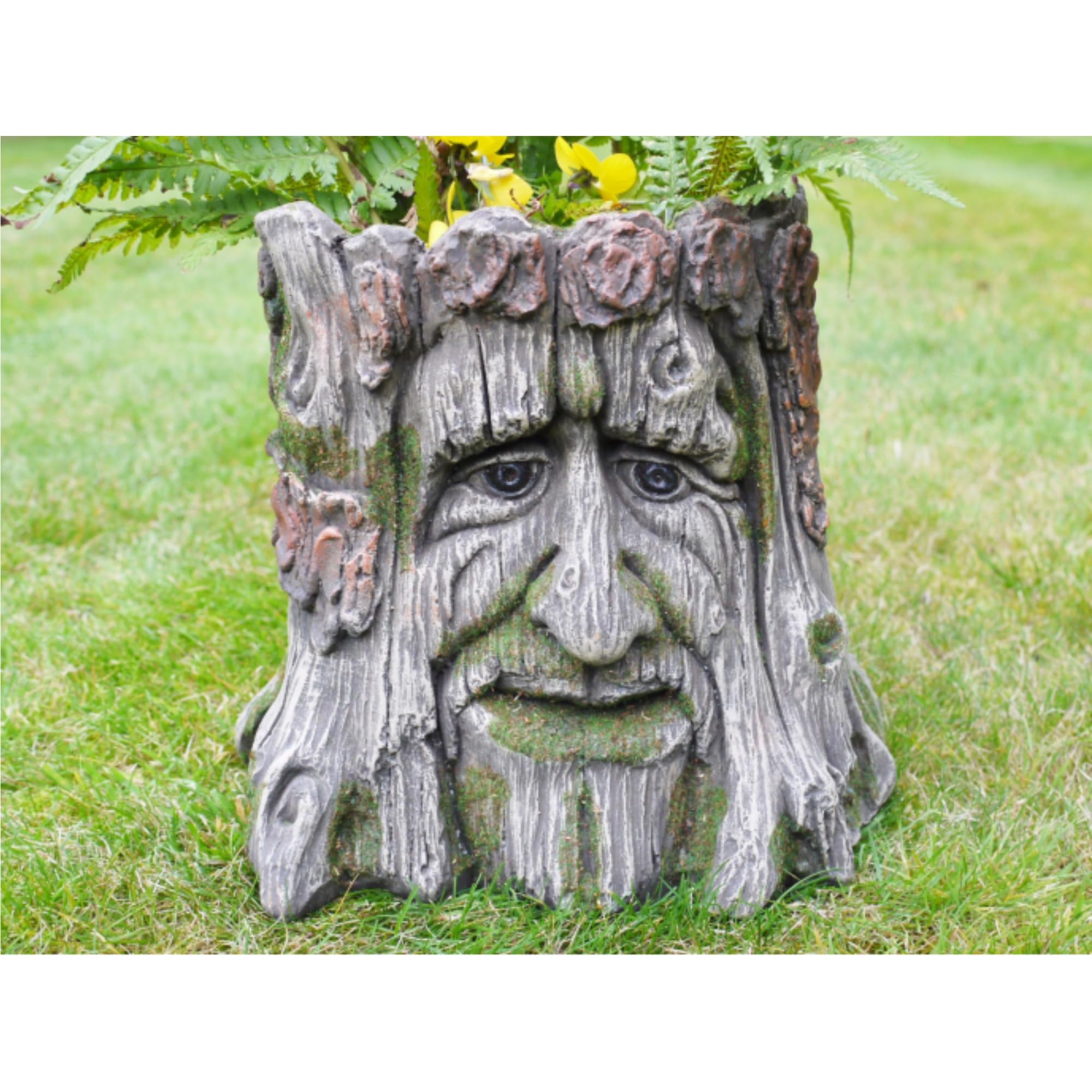 Fyne-Finds Natural Tree Stump Planter Resin Green Man Plant Pot 28Cm, 11Inch Pot Cover Novelty Flower Holder