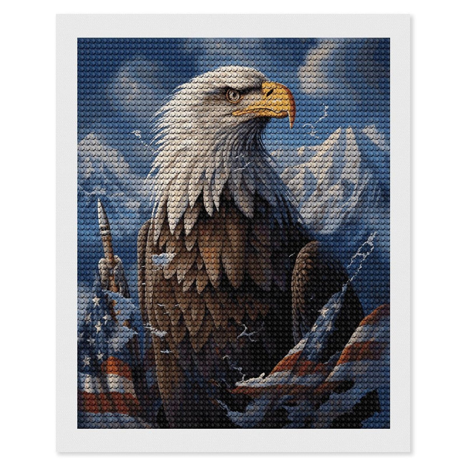 JTREHY Eagle Diamond Art Kits Personalized DIY Round Diamond Painting Kits for Beginner Full Drill Diamonds Dots Paintings for Adults Gem Art Crafts Home Decor