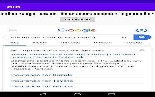 CIC: Car Insurance Companies