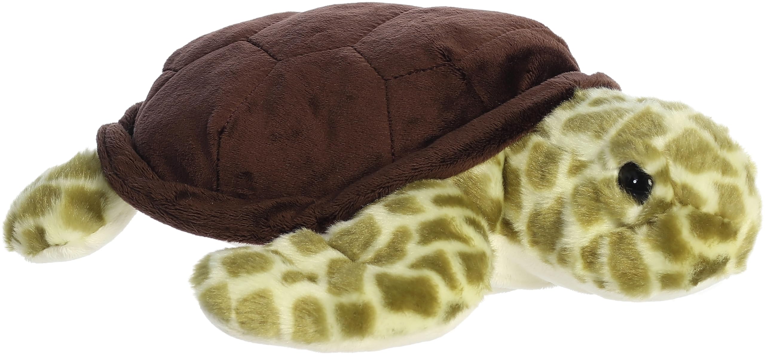 Aurora - Destination - 13" Sea Turtle - Image 3