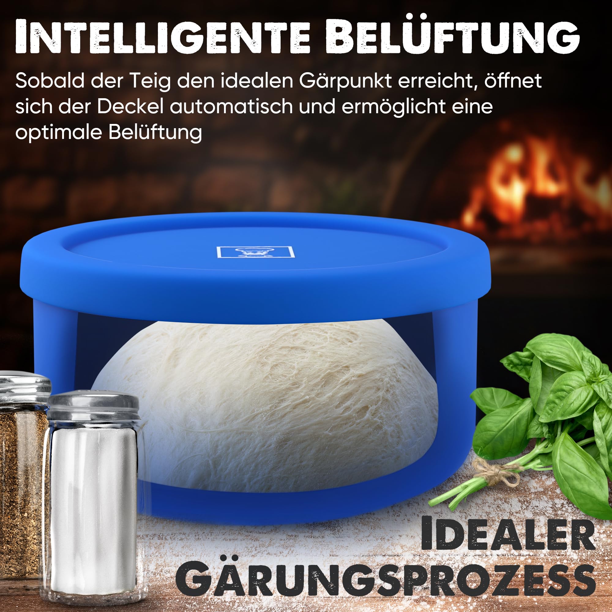 Pizzaballenbox mit Deckel 2er Set - Pizzateig Box aus antihaftendem Silikon - Pizzateig platzsparend gären - Gärbox - Pizza Zubehör