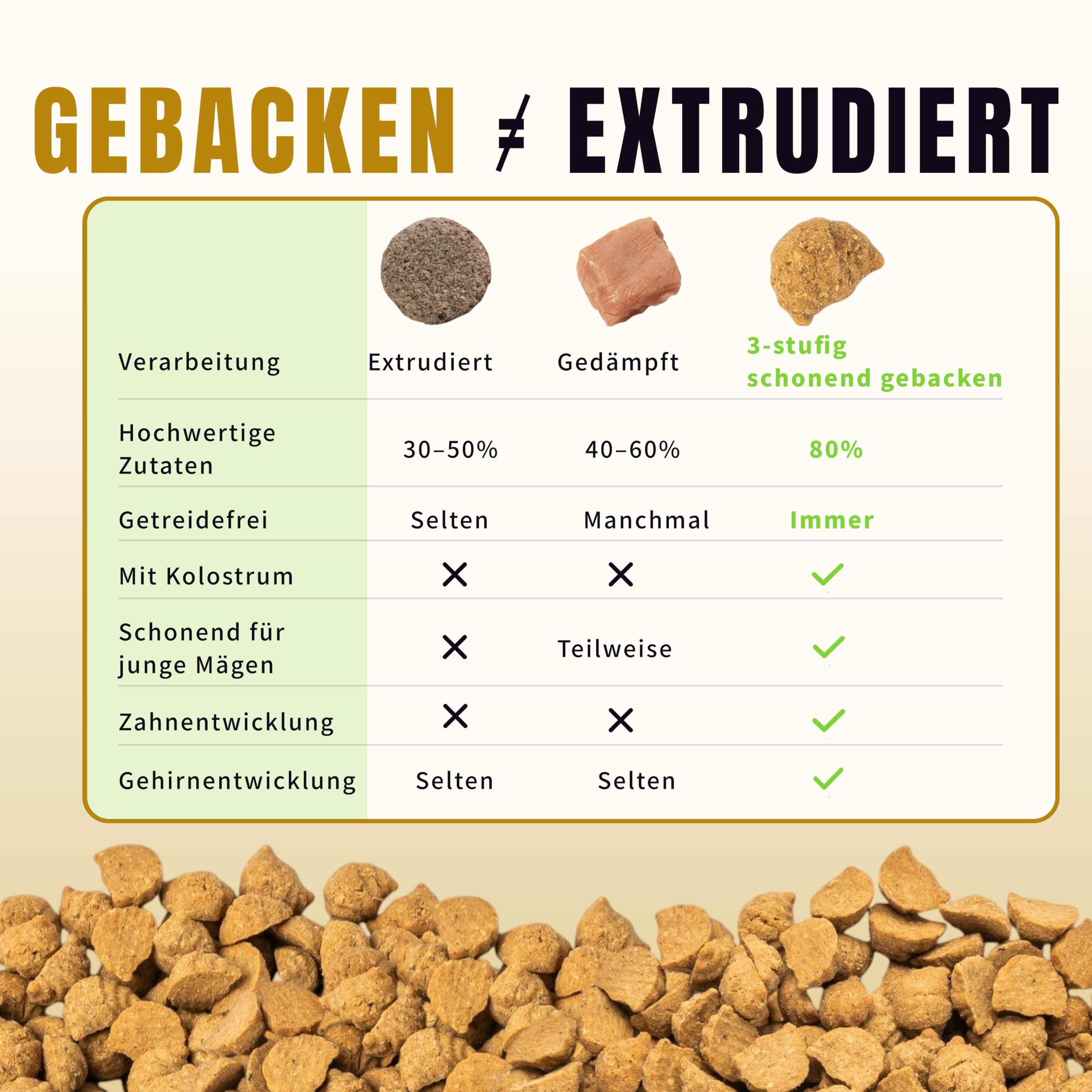 Oven-Baked Getreidefreies Welpenfutter – Frisches Huhn mit Kolostrum & DHA – Schonend gebacken für gesundes Wachstum – Hoher Proteingehalt (92% tierisch) – 2 Kg