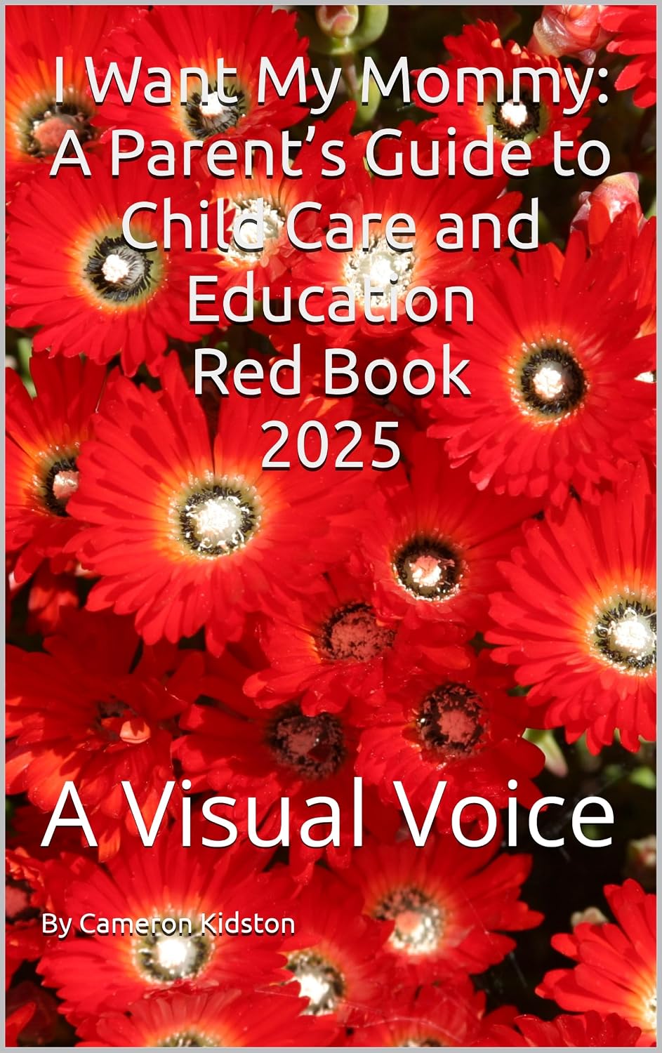 I Want My Mommy: A Parent’s Guide to Child Care and Education Red Book 2025: A Visual Voice