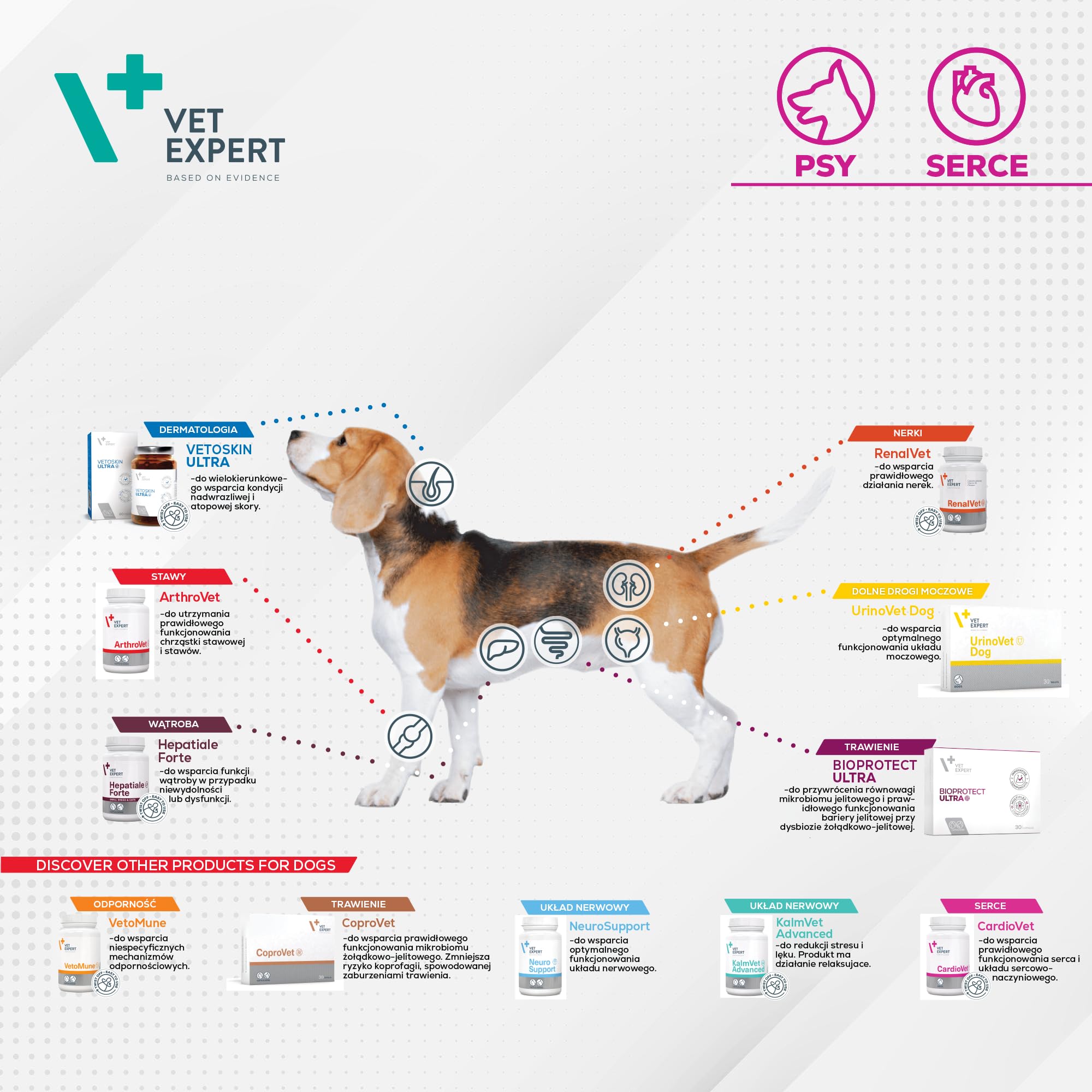 VetExpert CardioVet | 90 comprimés | Alimentation complémentaire diététique pour Chiens | en Cas d'insuffisance myocardique Due à Une cardiomyopathie dilatée et d'insuffisance mitrale