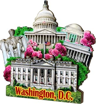 3D Washington DC Magnet