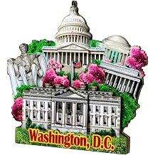 3D Washington DC Magnet