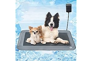 Electric Dog Cooling Mat: Your Dog's Oasis in the Heat!