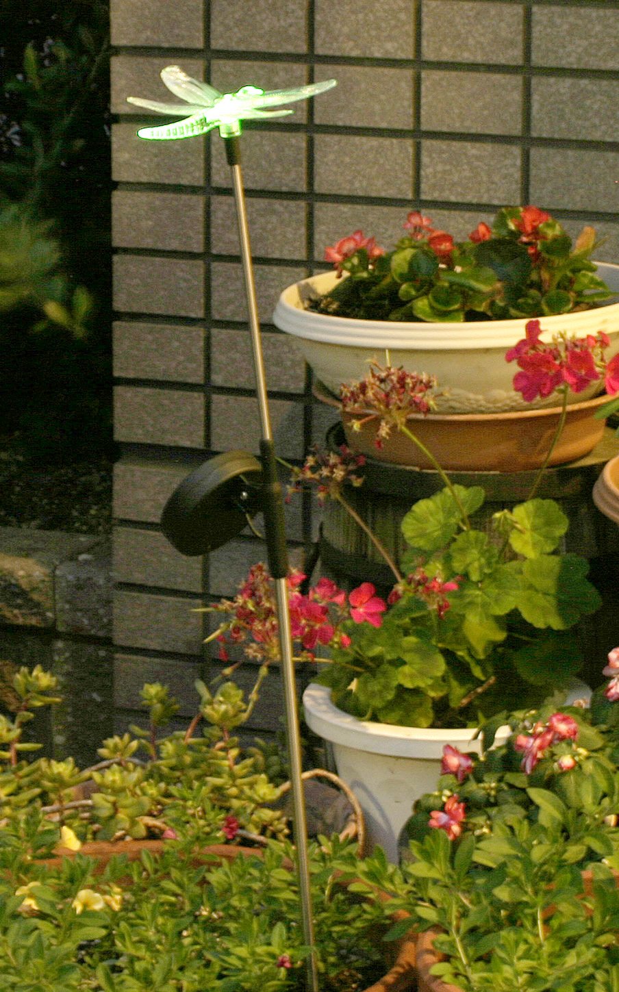 Amazon.co.jp: イルミネーションLEDライト(トンボ)ソーラー型電気 Amazon.co.jp: イルミネーションLEDライト(トンボ)ソーラー型電気