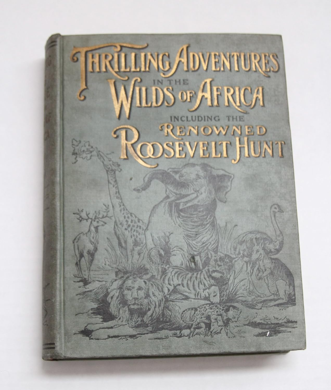 Thrilling adventures in the wilds of Africa,: Including the renowned ...