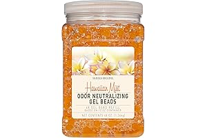 SMELLS BEGONE Orange Air Freshener Spray