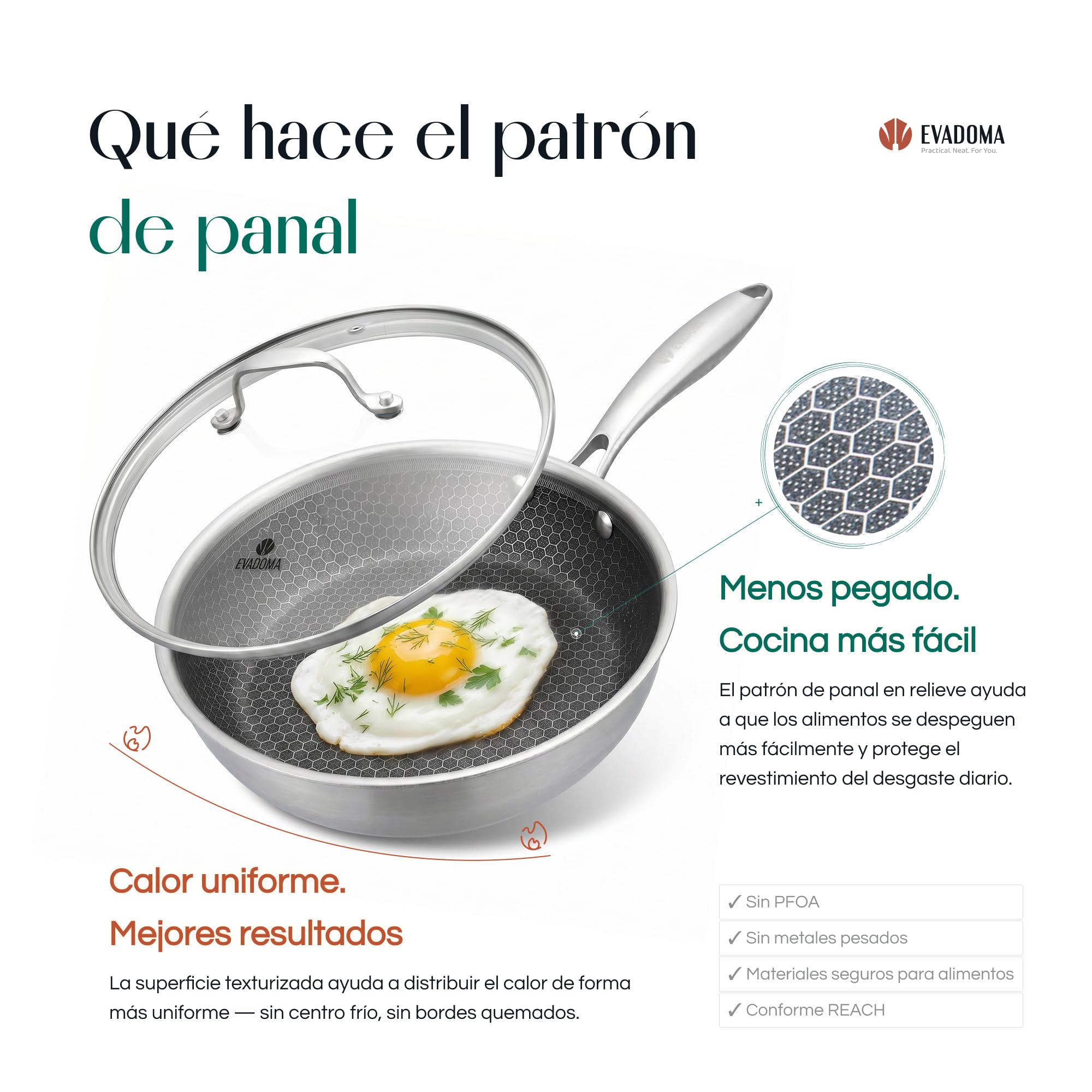 Sartén Antiadherente 24 cm con Tapa de Cristal | para Tortilla de Patatas, Huevos y Crepes | Apta para Todas las Cocinas y Horno | Acero Inoxidable Panal de Abeja | Sin PFOA