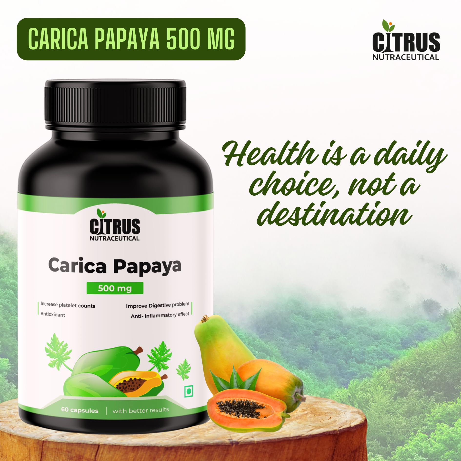 CITRUS NUTRACEUTICAL Carica Papaya Leaf Extract 500mg 2
