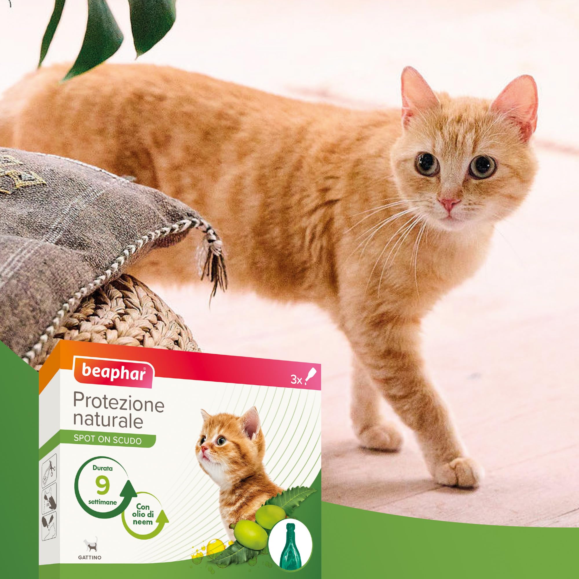 Beaphar Protezione Naturale, Spot-On Scudo per Gattino, con Olio di Neem e Piretro Vegetale, 9 Settimane di Protezione, 3 Pipette da 2 ml