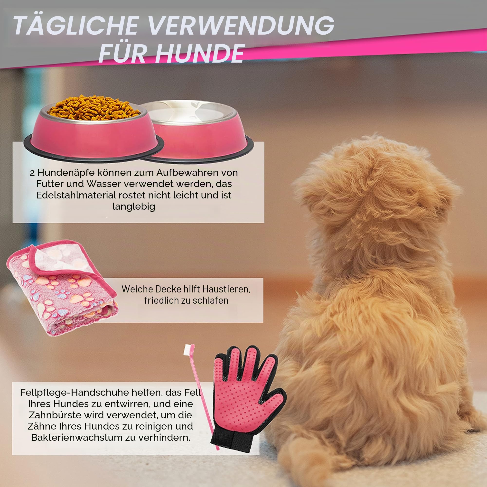 Welpen-Starter-Set für kleine Hunde – 26 Stück inkl. Hundespielzeug, Halsband, Leine, Welpen-Trainings-Cilcker, Leckerli-Tasche, Kotkotbeutel mit Spender, Decke, Zahnbürste, ID-Tag usw
