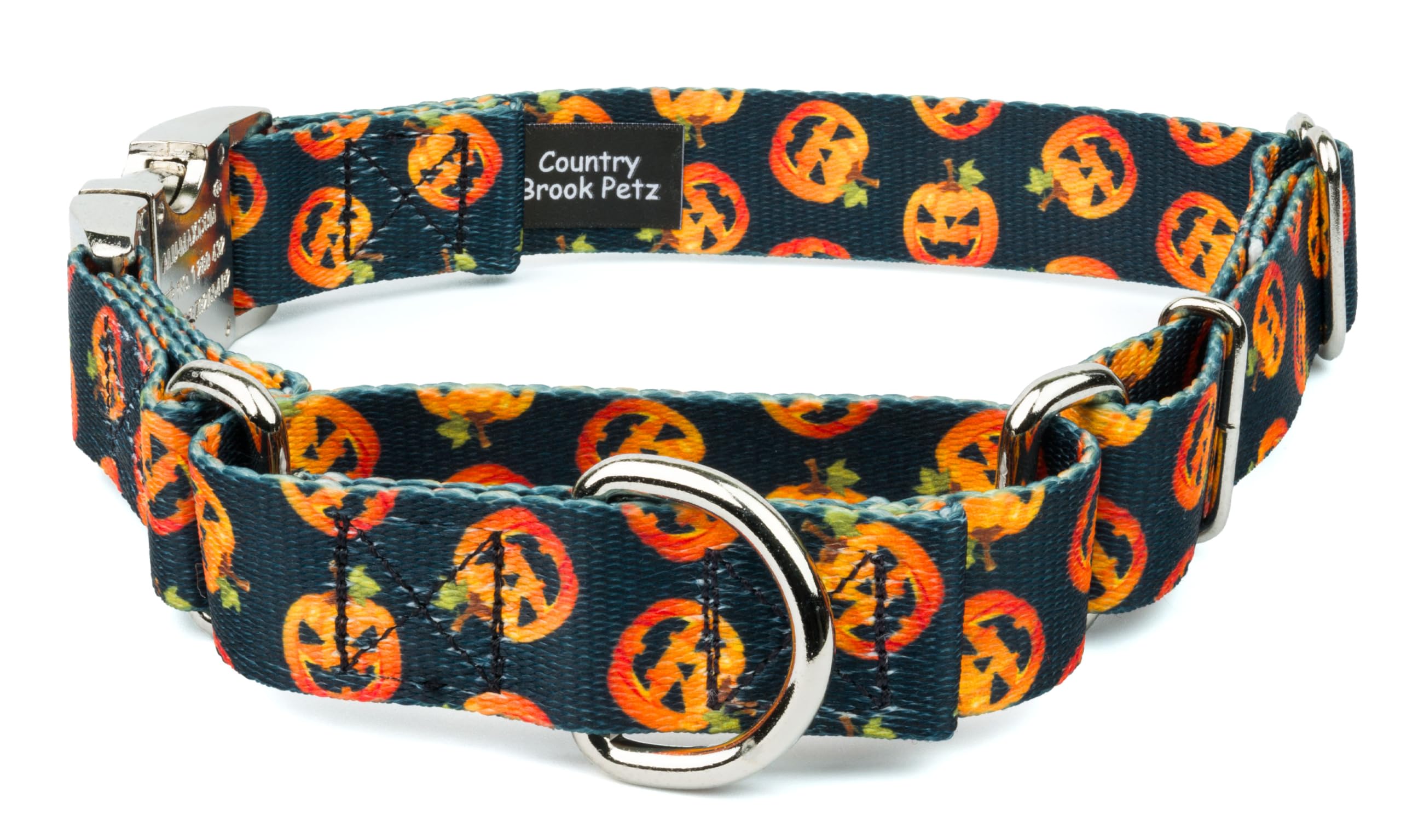 Country Brook Petz - Happy Jack Martingale Dog Collar with Premium Buckle - Halloween Collection Featuring Spooky Design (1 Inch, Large)
