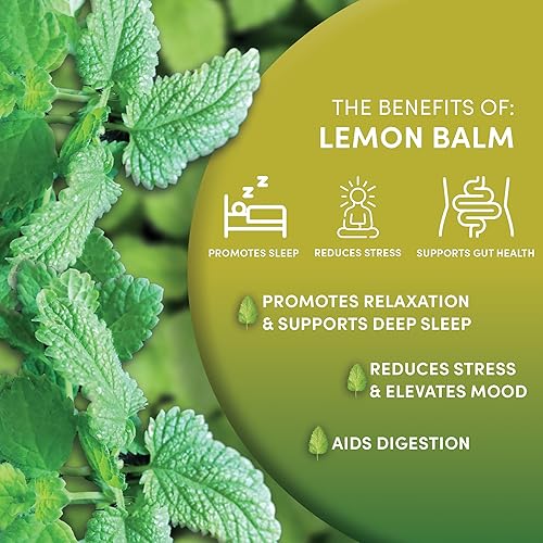 Miniatura 3 de Worldwide Botanicals Té orgánico de bálsamo de limón, 25 bolsas de té, 50% más de hierbas con 0.08 oz por bolsita de té, hojas de bálsamo de limón