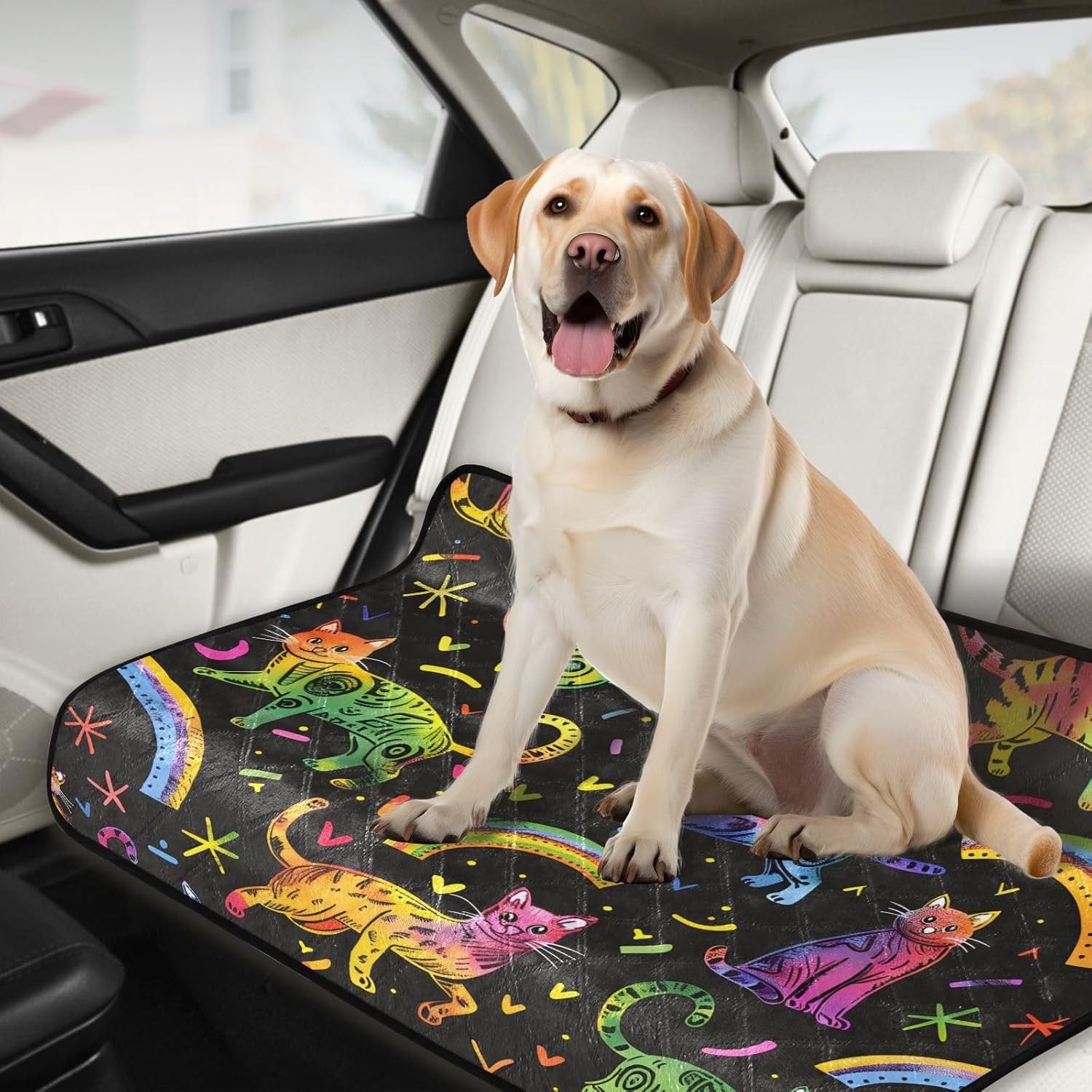 Cat Rainbow Color Pet Mat Reusable Feeding Mats for Food and Water Non-Slip Pee Pads for Dogs Cats 2 Packs