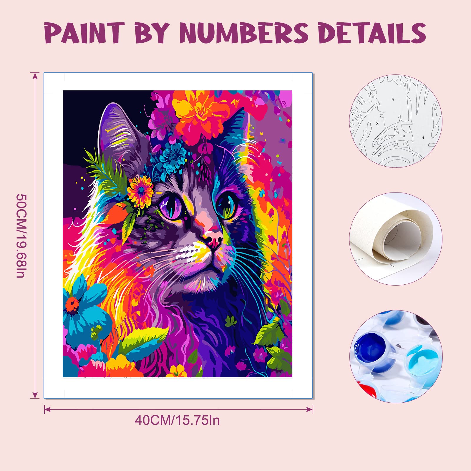 Amazon.co.jp: MOGTAA 猫 数字でペイント 大人用 カラフルな猫の数字で