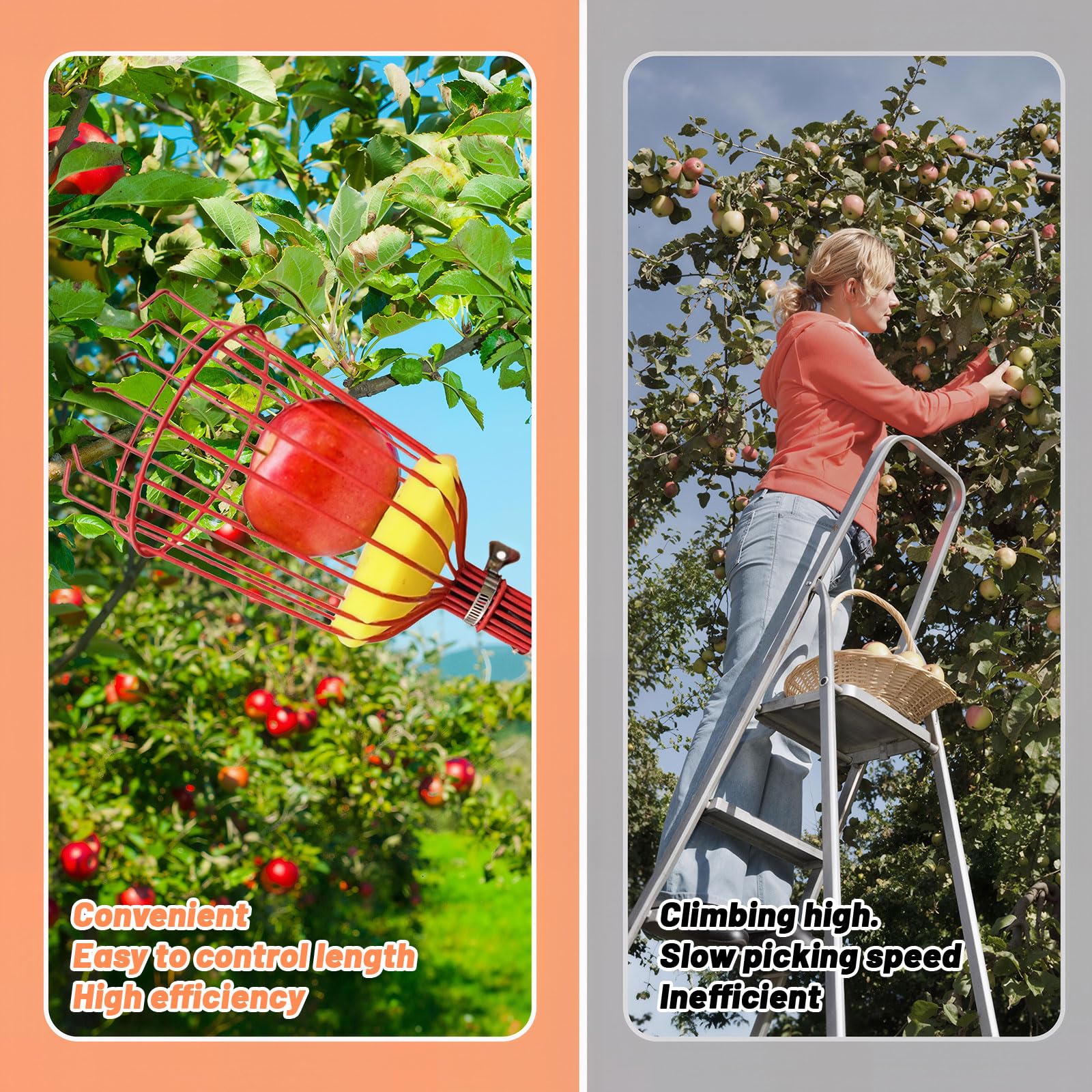 seOSTO Recoge Frutas Telescopico 4.2m, Palo Extensible Acero Inoxidable, Cesta de Alambre con Espuma Protectora, Recogedor para Manzanas, Naranjas, Cítricos, Recoger Frutas de Árboles Altos