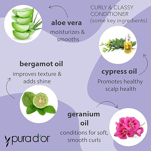 Miniatura 3 de PURA D'OR Curly & Classy - Juego de champú y acondicionador para rizos definidos, fórmula nutritiva con aceites de semillas de argán, ricino,