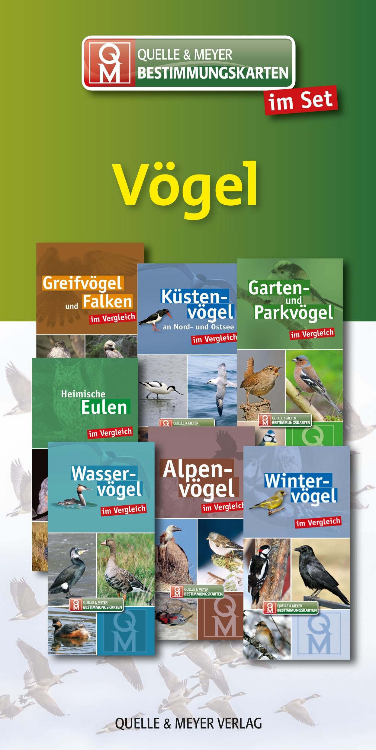 Quelle & Meyer Bestimmungskarten-Set „Vögel“ (Quelle & Meyer Bestimmungskarten)