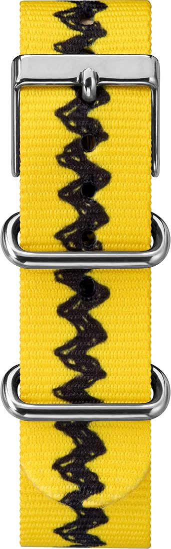 Timex x Peanut TW2R Charlie Brown Watch New Est Parallel Import Product