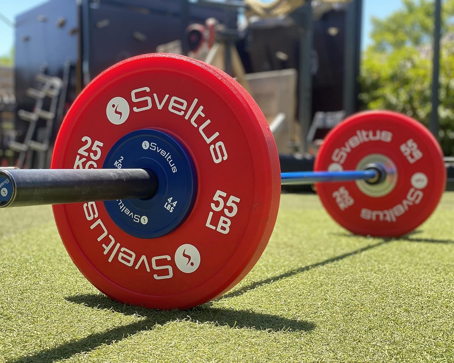 Mini Olympic Disc 2 kg x 1, Weight Lifting Plate