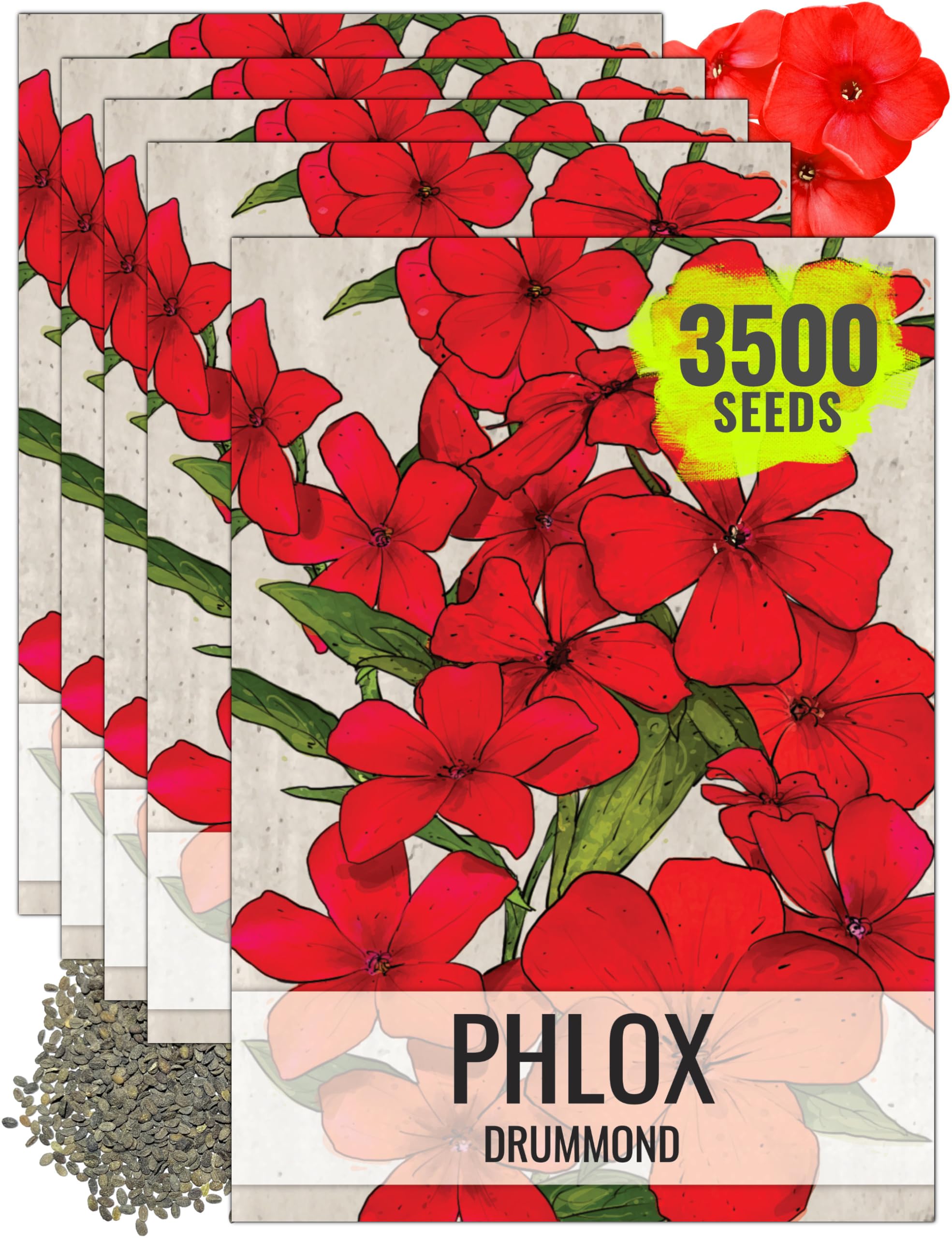 Seed Needs Red Drummond Phlox Seeds