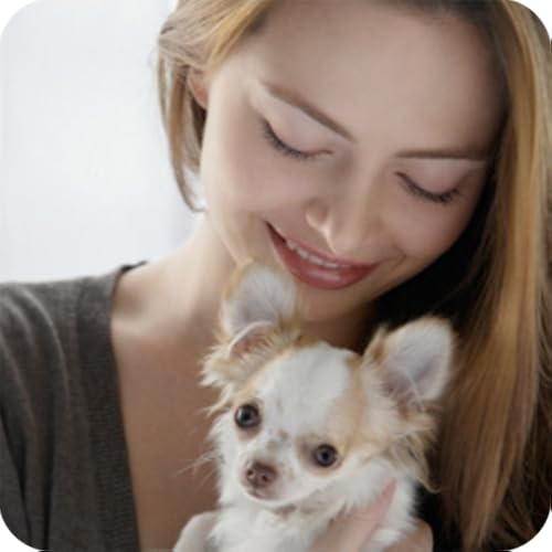 Eliminating Pet Odors