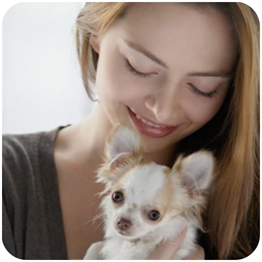 Eliminating Pet Odors