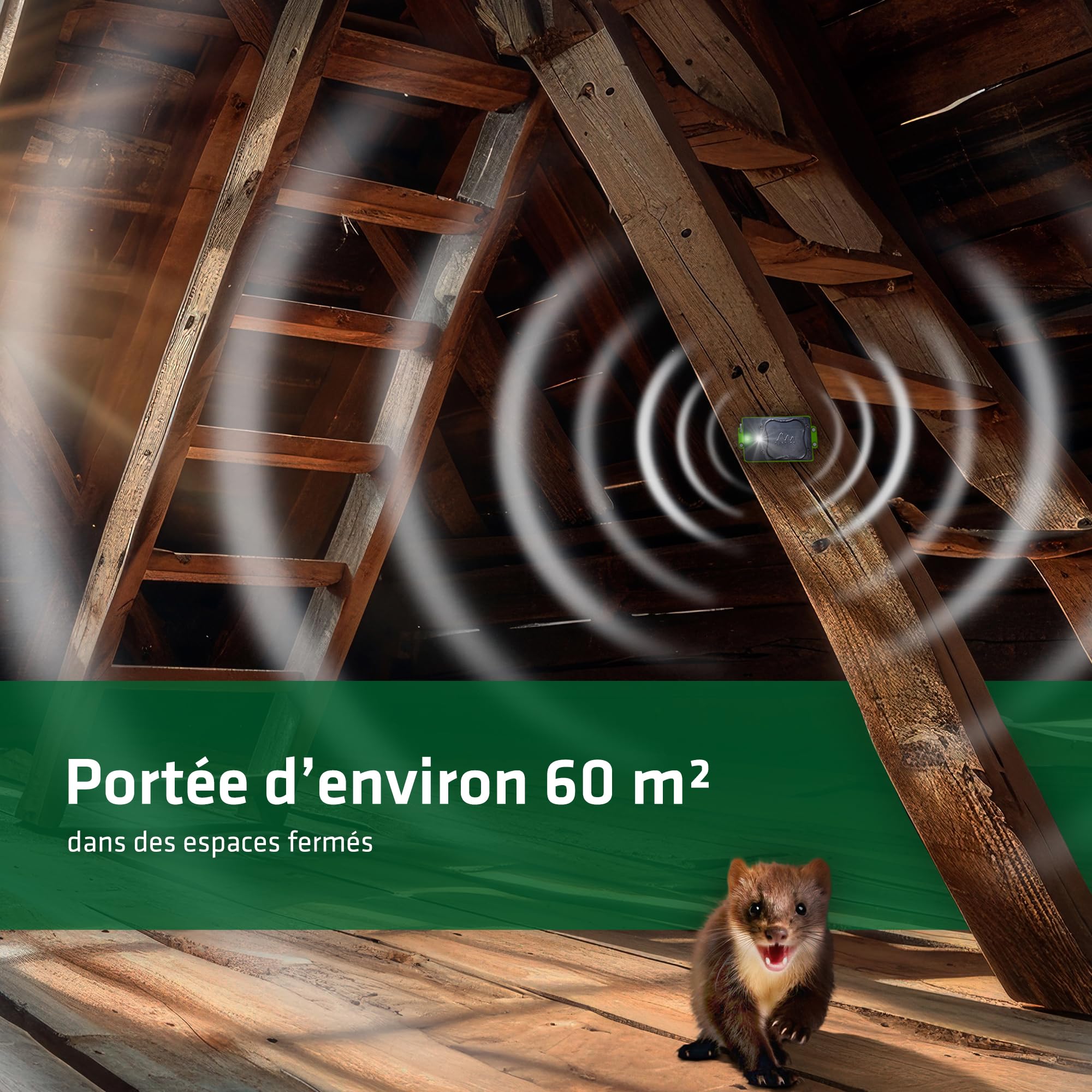 Gardigo® Anti Martre Voiture à Ultrason & Flash LED - Répulsif Fouine, Souris, Rats, Rongeurs - sur Piles ou Batterie Auto - Idéal pour Voitures, Greniers, Étables
