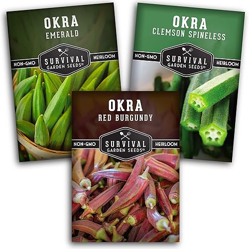 Survival Garden Seeds Colección de semillas Okra para plantar, 3 paquetes, cultiva plantas de Okra Clemson sin espinas, esmeralda y rojo borgoña en