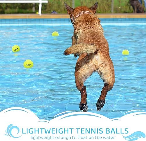 Miniatura 4 de Pelotas de tenis para perros, paquete de 12 unidades, juguetes interactivos chirriantes para entrenamiento, ejercicio, juego en interiores y