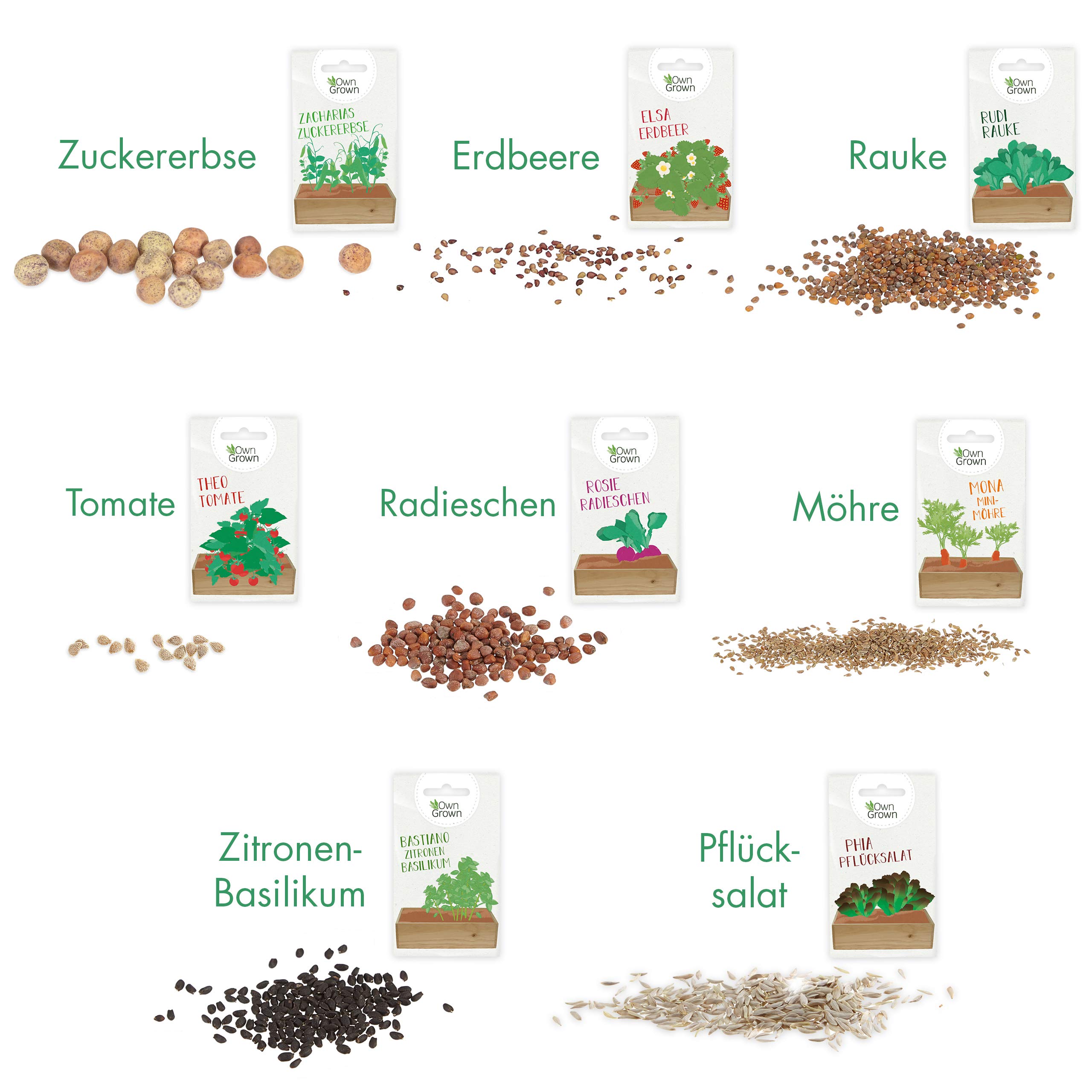 Saatgut Anzuchtset mit Holzkiste und 8 Sorten Pflanzen Samen: Kinder Anzuchtset Pflanzen mit Gemüse, Erdbeeren und Kräuter Samen – Mini Gewächshaus und Mini Garten Starter Kit von OwnGrown