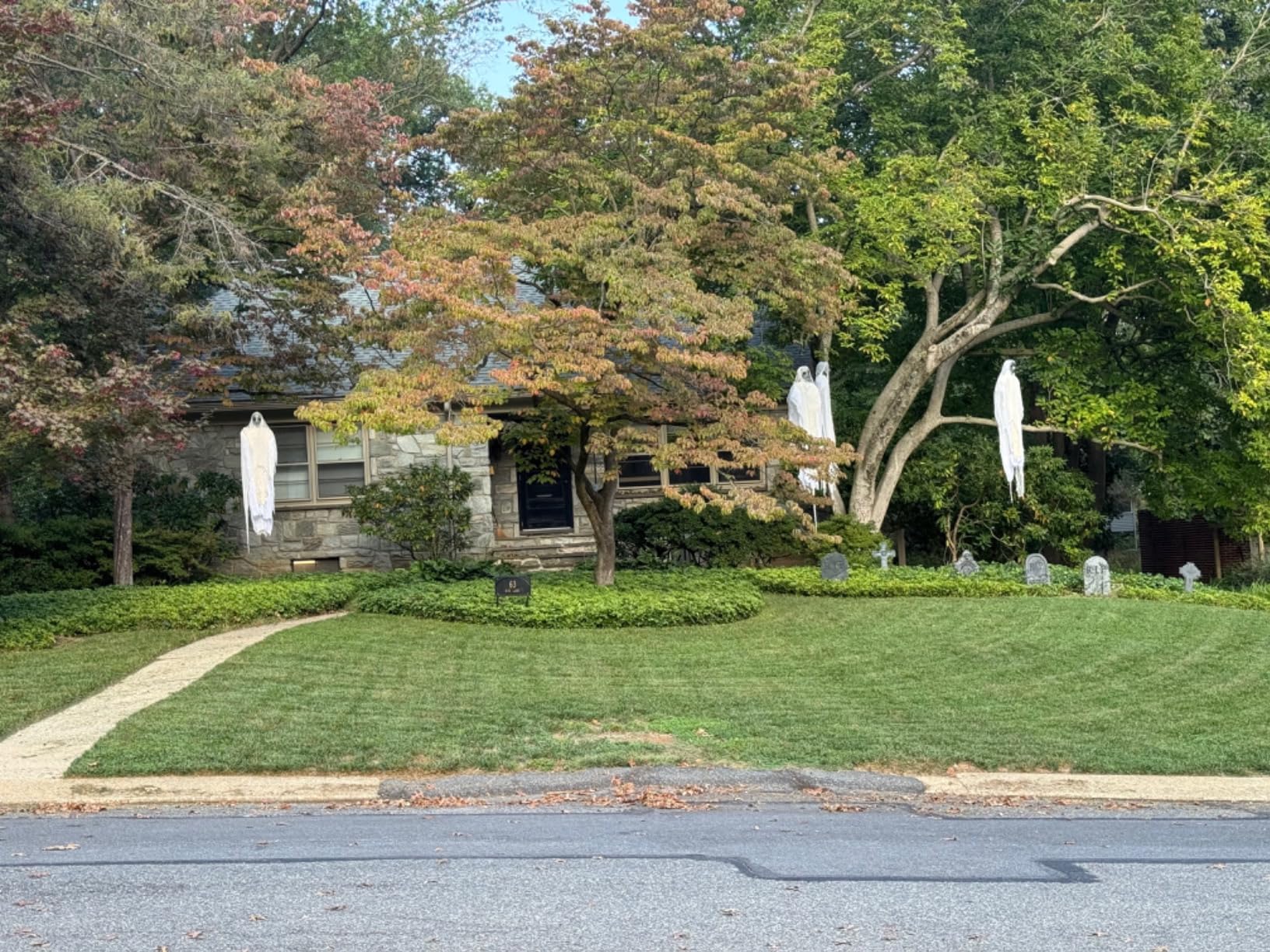 Customer Image