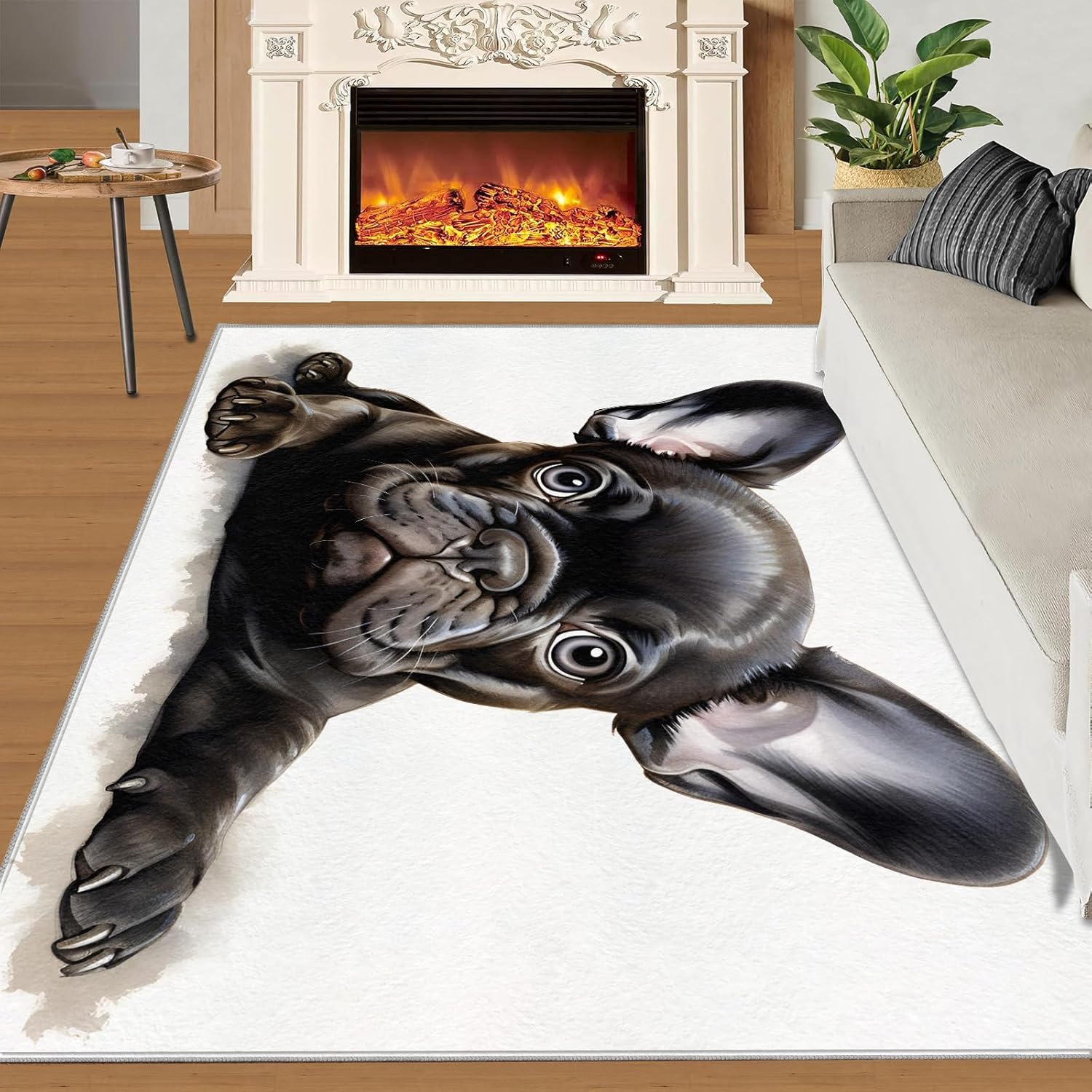 2x3 Rug - Black French Bulldog Doormat Outdoor Entrance, Cute Frenchie Dog Laundry Room Carpet Non Slip Accent Throw Rugs for Bathroom Kitchen Sink Front Door