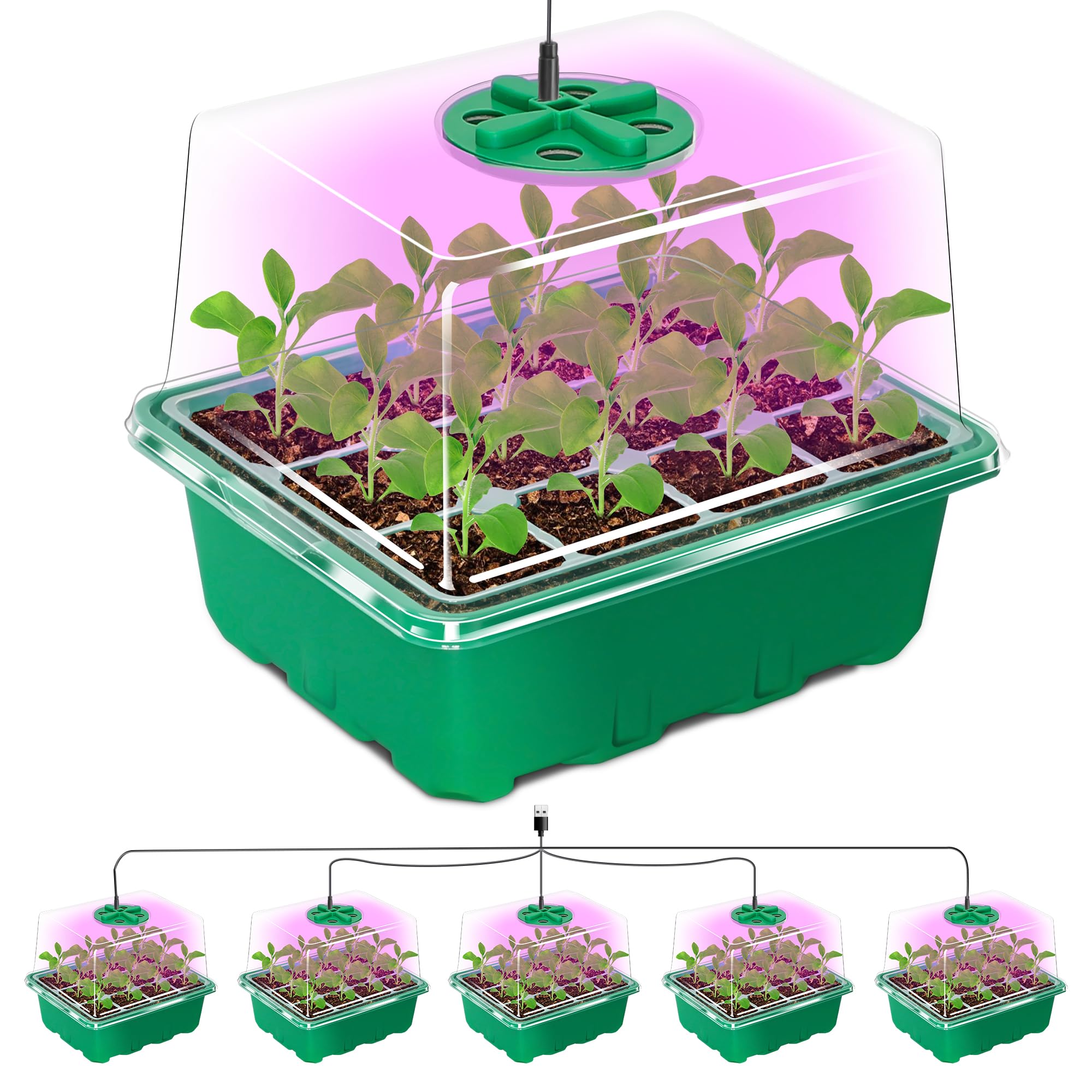 Seed Trays with Grow Light, 5 Pack Seed Trays with Lids, Propagators for Plants with Adjustable Lids and Clear Cell Tray, Propagator with 8 Full Spectrum Led Lamp Beads, For Indoor Plants, Green