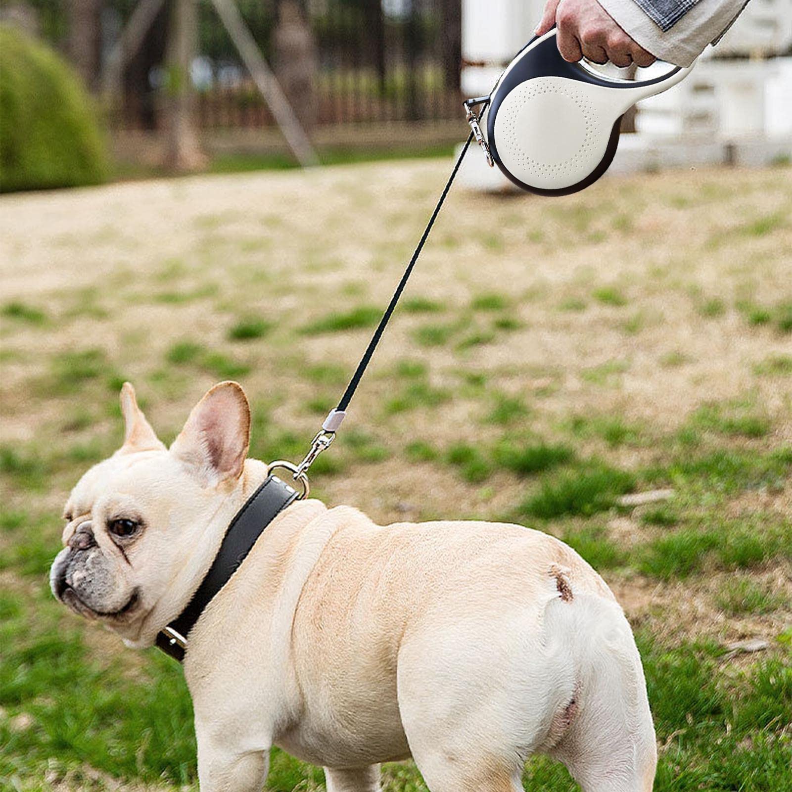 2 Uds Correa Larga para Perros - Correas para perros con luces LED, Línea Cat Puppy de 16 pies - Correa sin enredos de 360 grados Correas para perros de servicio pesado Accesorios para perros Abbto | Línea Cat Puppy de 16 pies - Correa sin enredos de 360