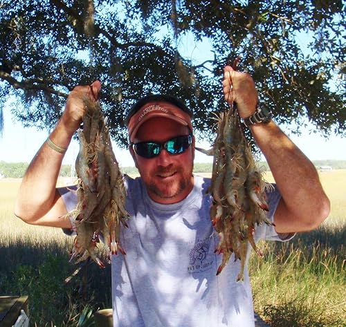 Miniatura 5 de Bait Binder Kit de cebo - El 'original' - Camarones, cangrejo, cangrejo, chum - 5 libras