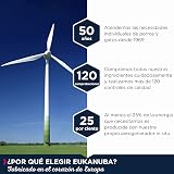 Ver la foto 8