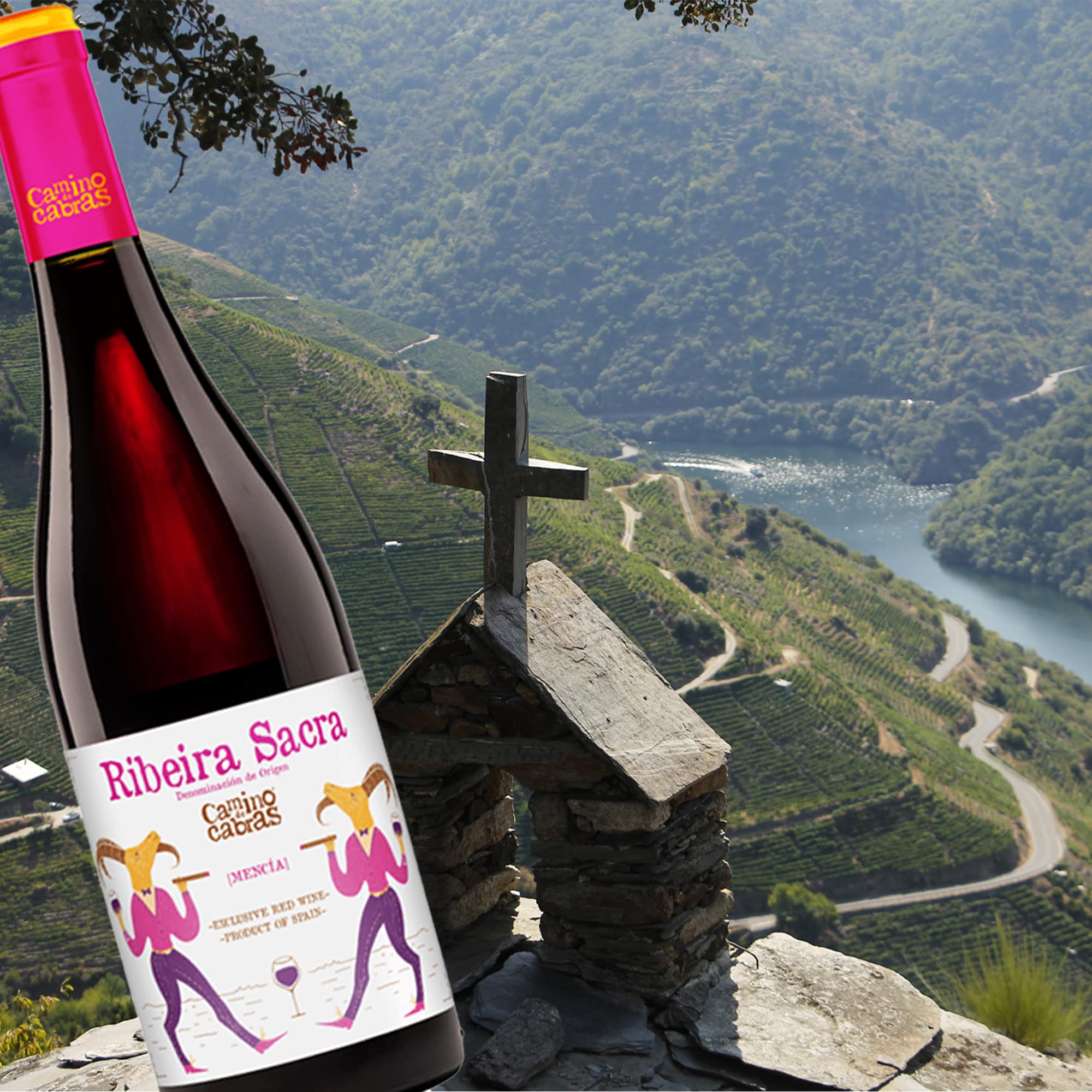 Vino Mencia - Caja Vino Tinto 6 botella x 750 ml - Vino para Regalar – Vino Gallego Premium – Vino Regalo Gourmet – Pack Regalo vino - D.O Vino Ribeira Sacra - CAMINO DE CABRAS
