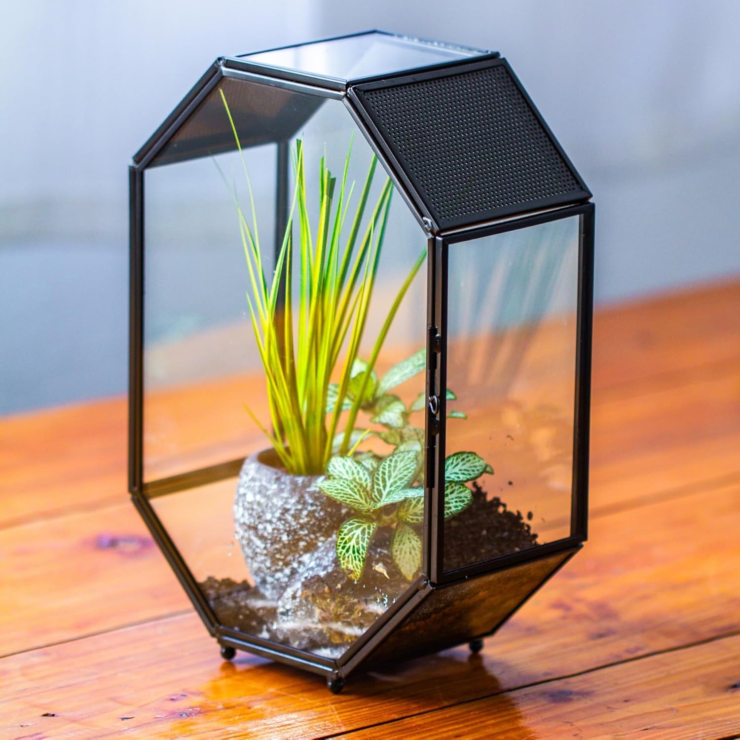 NCYP Glass Enclosure Terrarium with Mesh and Door for Spiders, Small Mantis, Jumping Spider - Octagon Shape Vented Glass Terrarium 6.2 x 3.1 x 8.7 inches, Black (Plants Not Include)