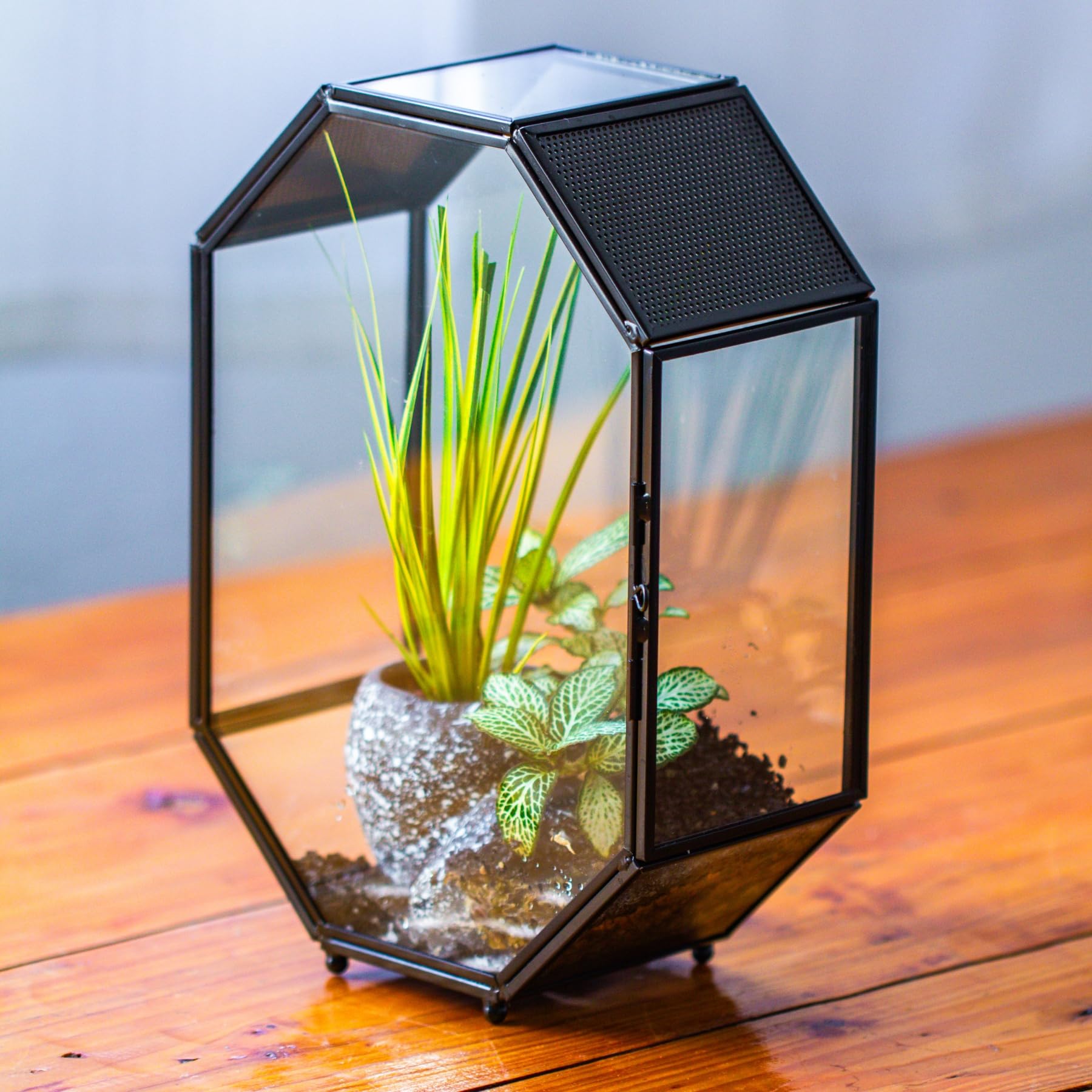 NCYP 15,8x8x22,1 cm Octogonale Terrarium en Verre avec Maille et Porte pour Araignées, Insectes, Petites Plantes (Plantes et Accessoires Non Inclus)