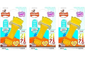 Frozen Puppy Teething Chew Toy - Chill and Chew