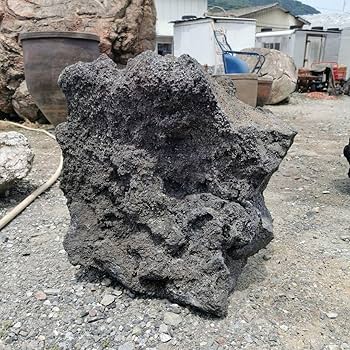 サンゴ石　48キロ　庭石　石　鑑賞石 石材　庭　ガーデニング　置物 Amazon.co.jp: 富士 溶岩石 48キロ 庭石 鑑賞石 石 庭 ガーデニング
