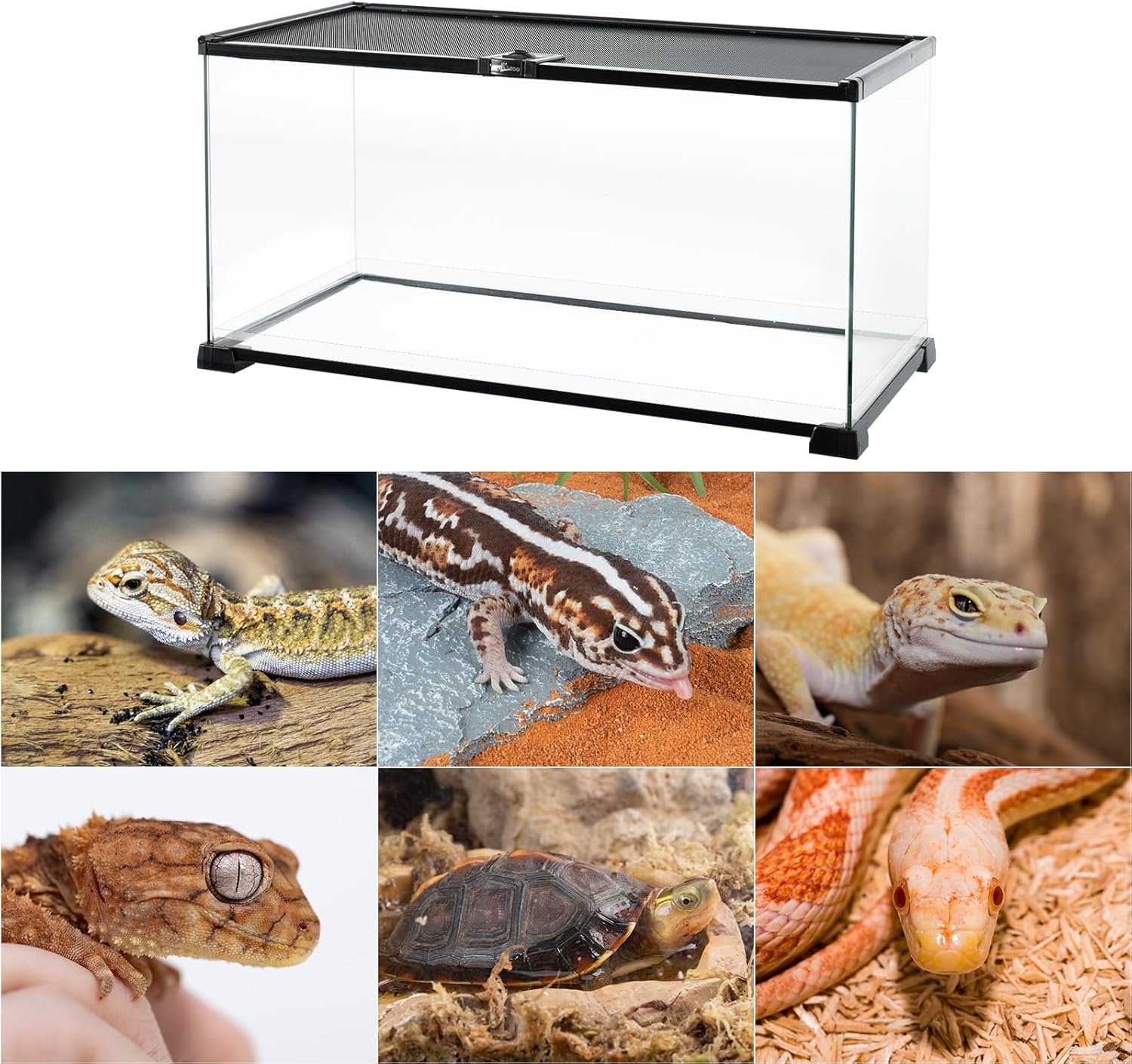 REPTI ZOO 2 Pack Heat Lamp 100W with Reptile Tank