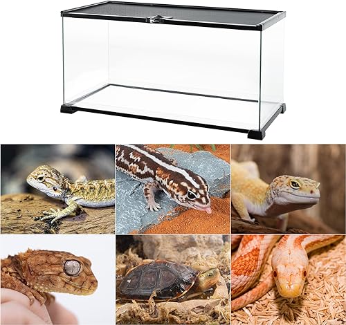 Vista 15 de REPTIZOO - Tanque pequeño de vidrio de 8 galones, terrario de apertura superior, 12 x 12 x 12 pulgadas, leopardo, tarántula, lagarto, cangrejo