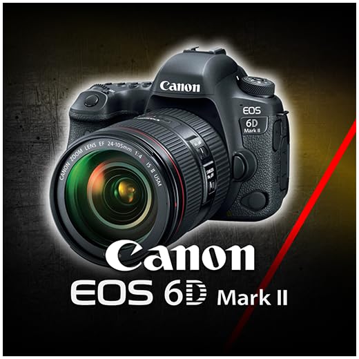 Canon 6D mark II Training